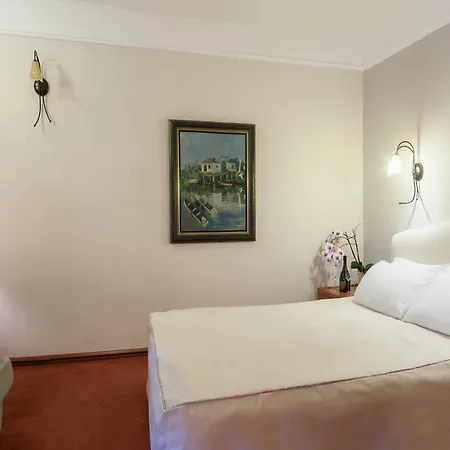 Aleksandar ホテル Vrnjačka Banja